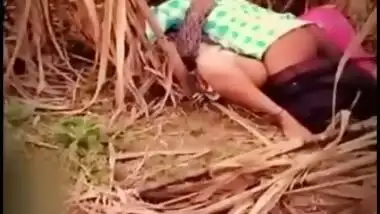 Husband caught wife emotional fuck with lover outdoor in jungle, Desi mms sex